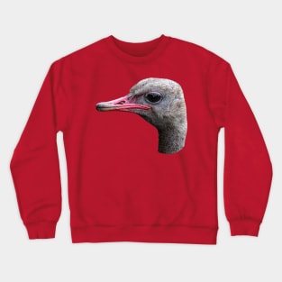 Head of an Ostrich Crewneck Sweatshirt